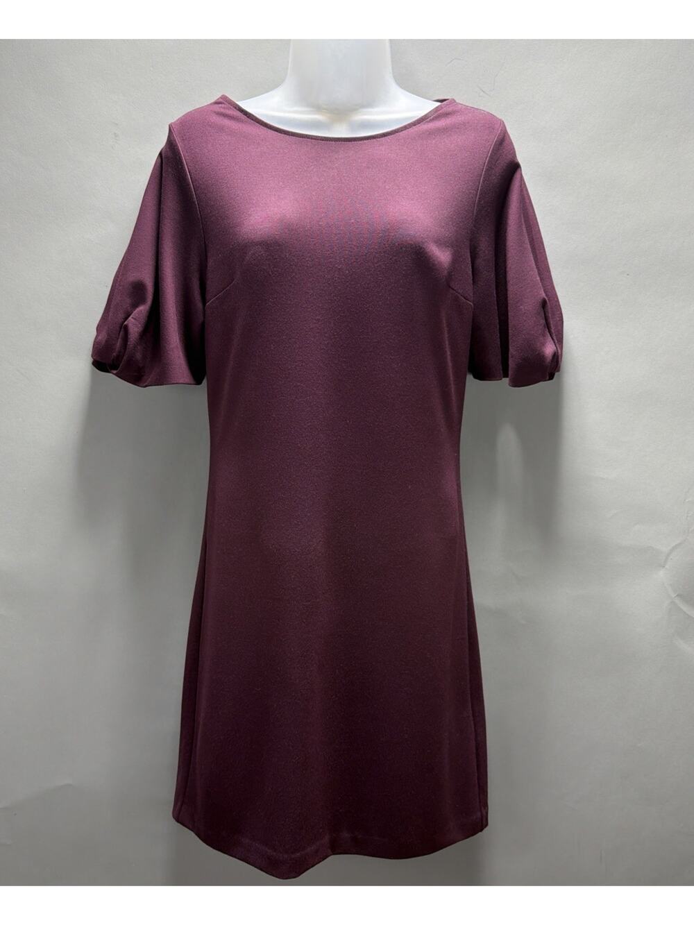 Express XS Woman's Eggplant Purple Lined Short Sleeve Career Work Dress